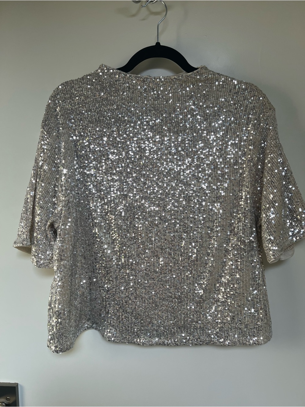 H&M Silver Sequin Short Sleeve Top